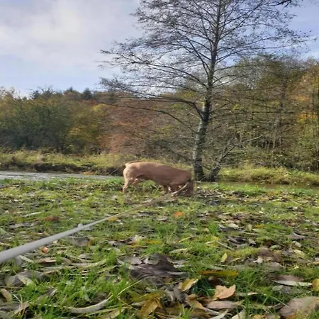 Сasa de vacaciones Group With Sauna Vlessart