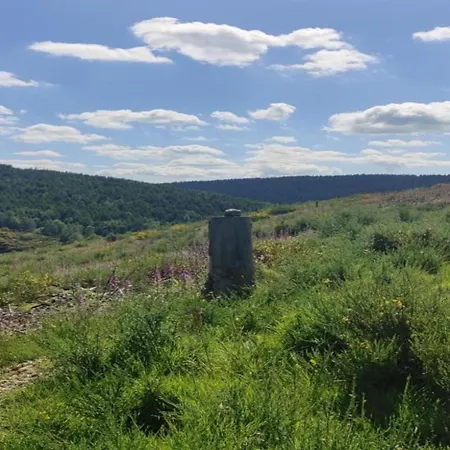 Group With Sauna * Vlessart