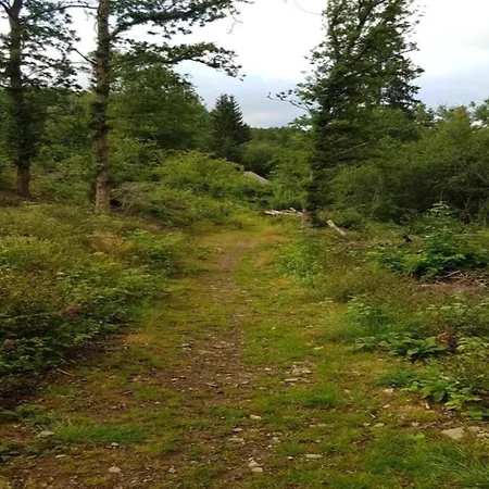 Group With Sauna בית נופש