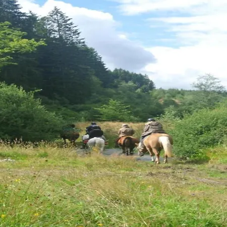 Group With Sauna בית נופש Vlessart