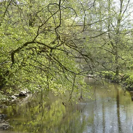 Group With Sauna Vlessart